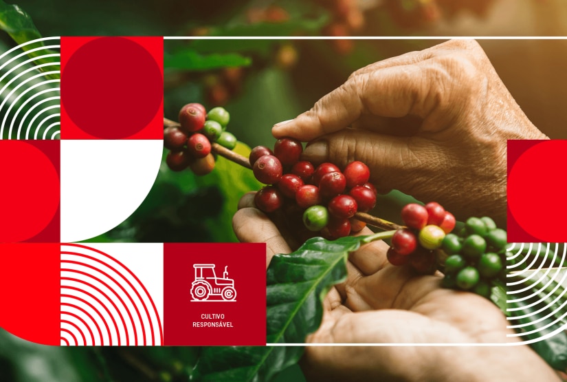 Buondi - Café de origem responsável