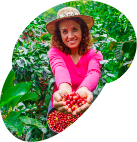 SICAL - O café feito por elas - Cafeicultoras
