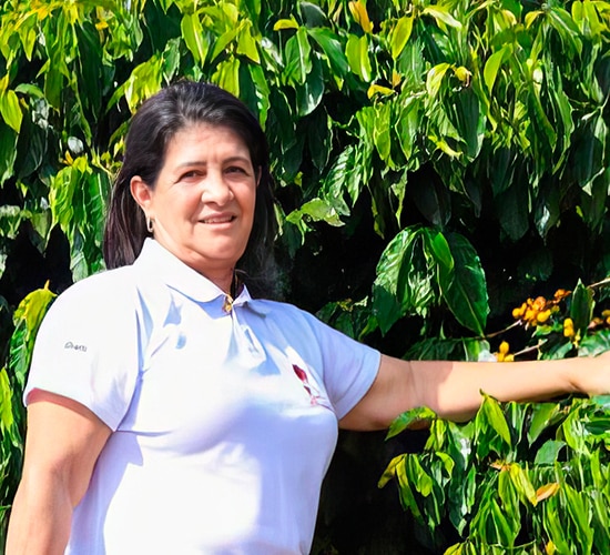 SICAL - O café feito por elas - Delas é um projeto para apoiar mulheres cafeicultoras no Brasil