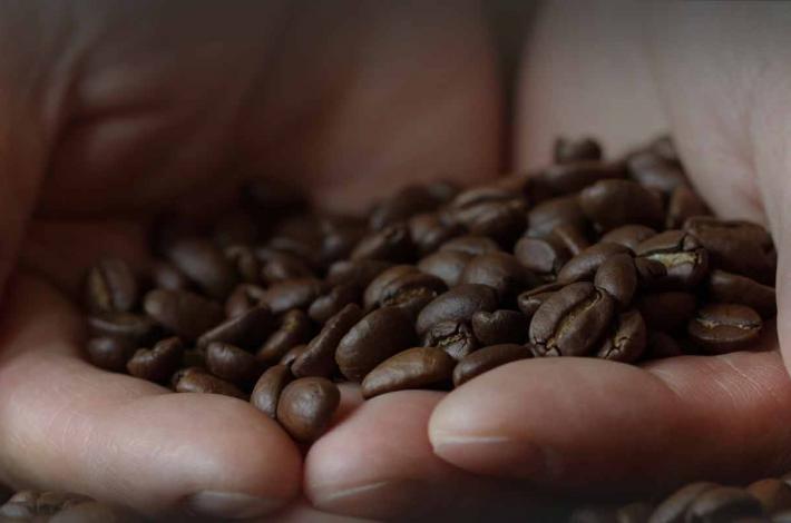 Sical - Origens SICAL - Processo de produção - Benefício do café
