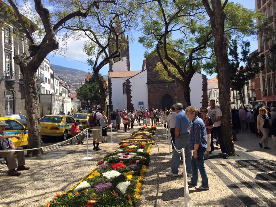 Tofa - Diário - Festa da Flor